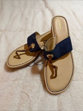 Liz Claiborne Navy and Tan Toe-Post Slide Sandals